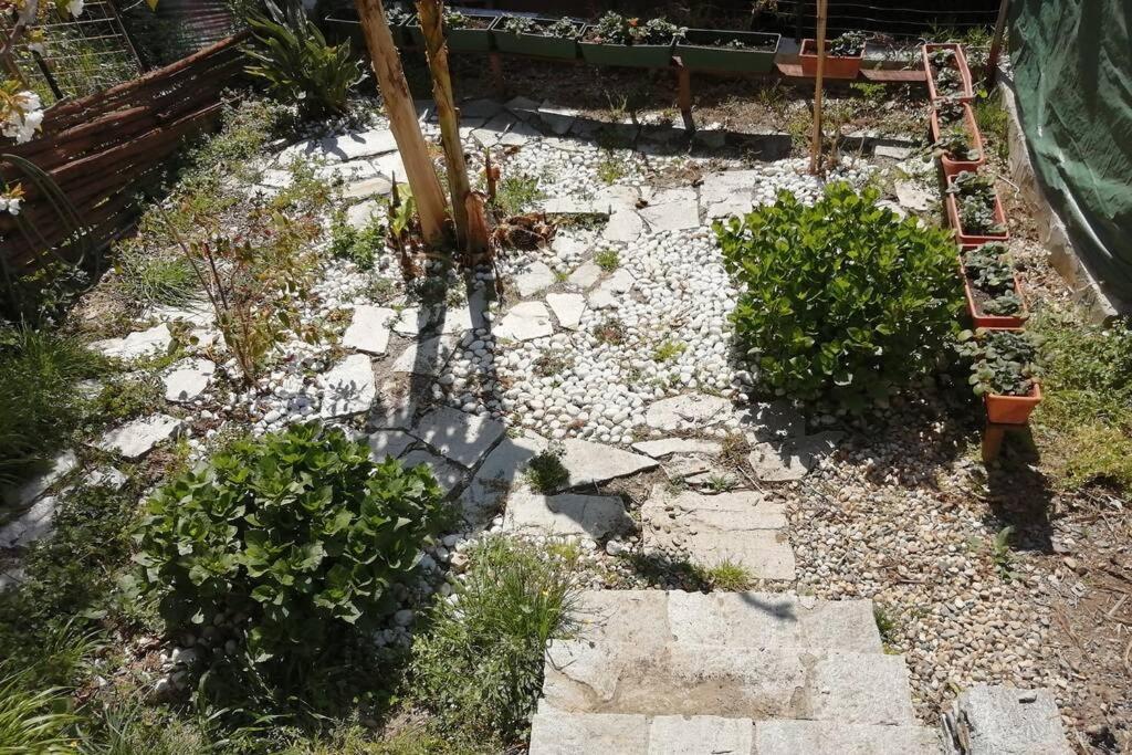 La Casetta Di Molly Tra Ulivi E Roseto Leivi 外观 照片